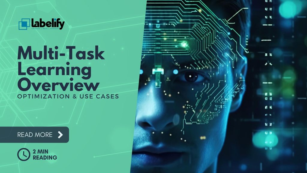 Multi-Task Learning Overview: Optimization & Use Cases